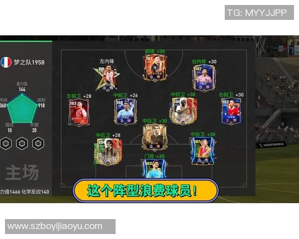 绿茵巨星风采录全面展示世界足球传奇人物